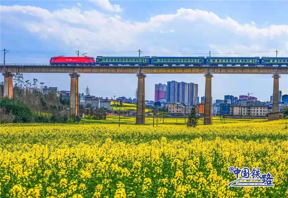 火车、高铁和地铁，你能分清吗？